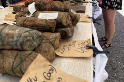 Agrandir l'image 4 sur 11, fenêtre modale