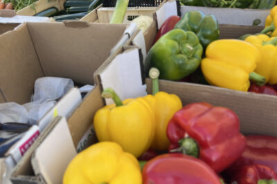 Agrandir l'image 6 sur 11, fenêtre modale