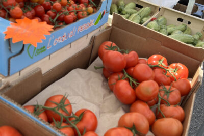 Agrandir l'image 7 sur 11, fenêtre modale