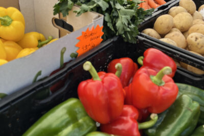 Agrandir l'image 9 sur 11, fenêtre modale