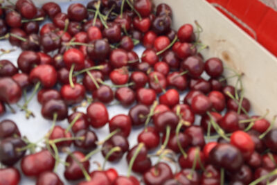 Agrandir l'image 10 sur 11, fenêtre modale